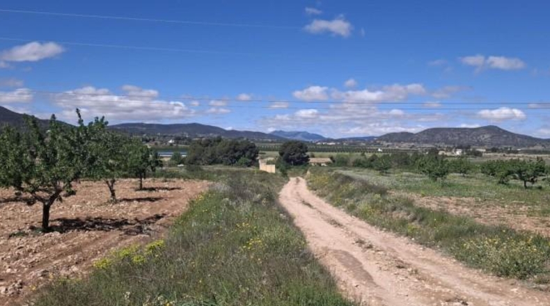 Alicante - la Romana - 7627m2