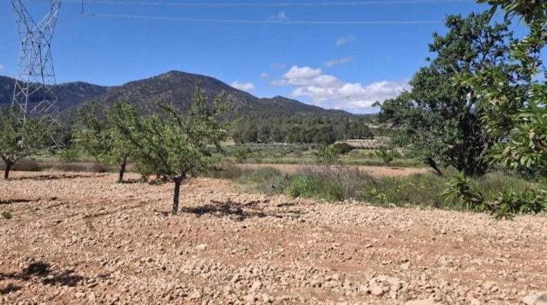 Alicante - la Romana - 7627m2