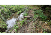 Detached villa with land for sale on España, Vilar de Sarria, ref: TR287352 photo