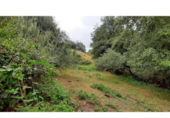 Detached villa with land for sale on España, Vilar de Sarria, ref: TR287352 photo