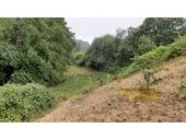 Detached villa with land for sale on España, Vilar de Sarria, ref: TR287352 photo