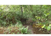 Detached villa with land for sale on España, Vilar de Sarria, ref: TR287352 photo