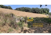 Detached villa with land for sale on España, Vilar de Sarria, ref: TR287352 photo
