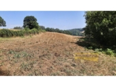 Detached villa with land for sale on España, Vilar de Sarria, ref: TR287352 photo