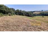 Detached villa with land for sale on España, Vilar de Sarria, ref: TR287352 photo