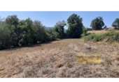 Detached villa with land for sale on España, Vilar de Sarria, ref: TR287352 photo