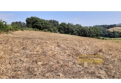 Detached villa with land for sale on España, Vilar de Sarria, ref: TR287352 photo