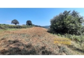 Detached villa with land for sale on España, Vilar de Sarria, ref: TR287352 photo
