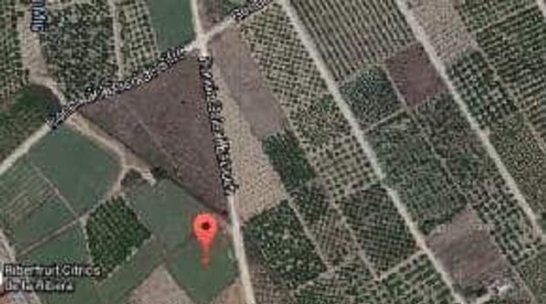 Valencia - Villanueva de Castellón - 2493m2