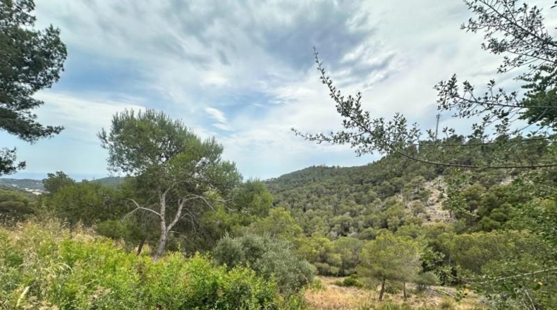 Barcelona - la Gornal - 896m2