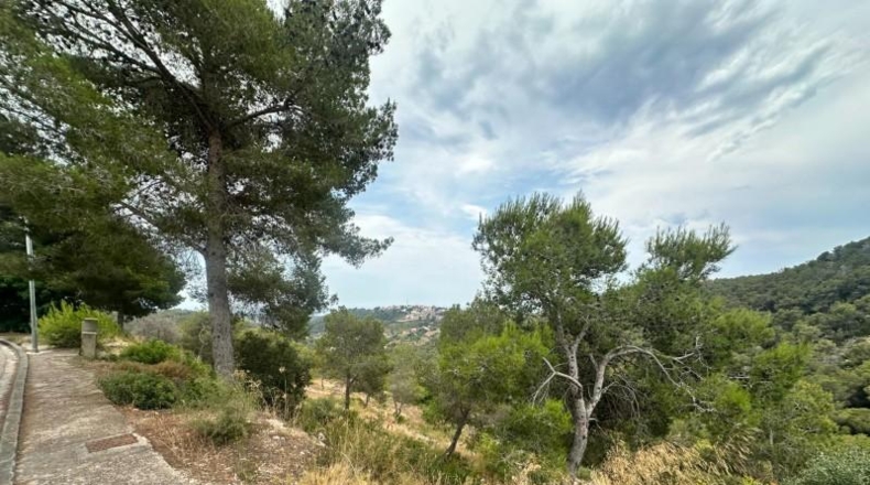 Barcelona - la Gornal - 896m2