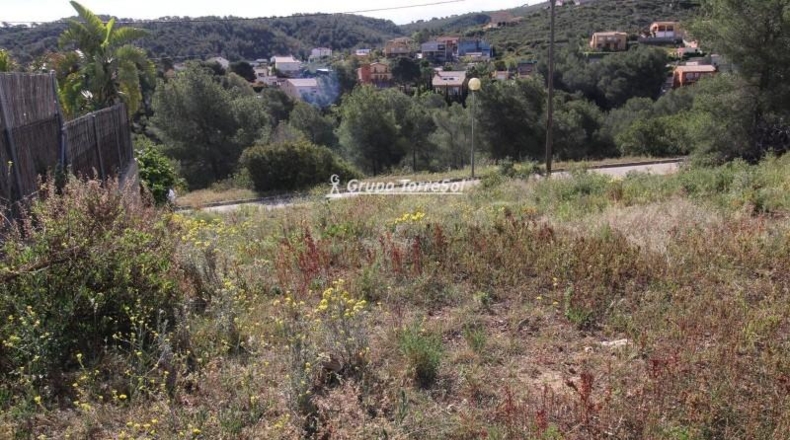 Tarragona - la Bisbal del Penedès - 512m2