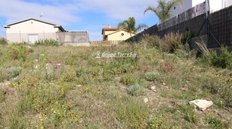 Tarragona - la Bisbal del Penedès - 512m2