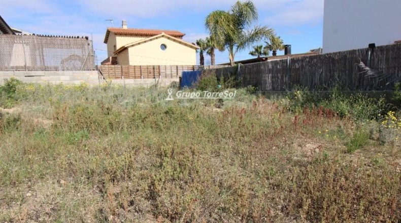 Tarragona - la Bisbal del Penedès - 512m2