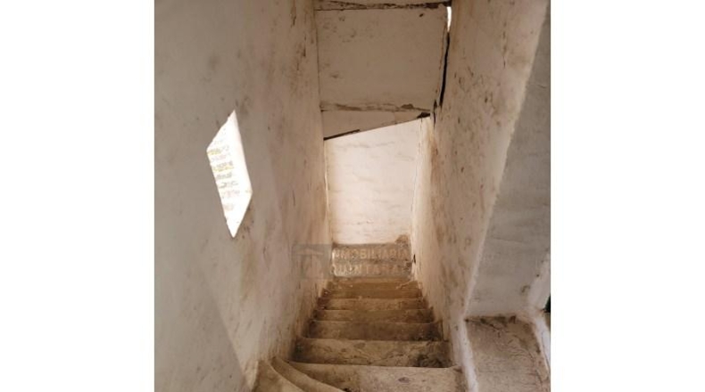 Toledo - El Toboso - 490m2