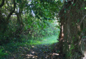 Finca rústica en venda a la España, Armenteiro de Abaixo, ref.: TR296731 foto