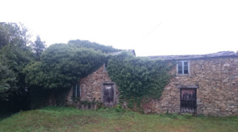La Corunya - San Ramón - 25000m2