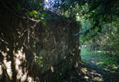 Finca rústica en venda a la España, Armenteiro de Abaixo, ref.: TR296731 foto