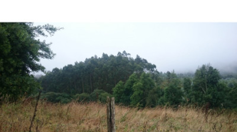 La Corunya - San Ramón - 25000m2