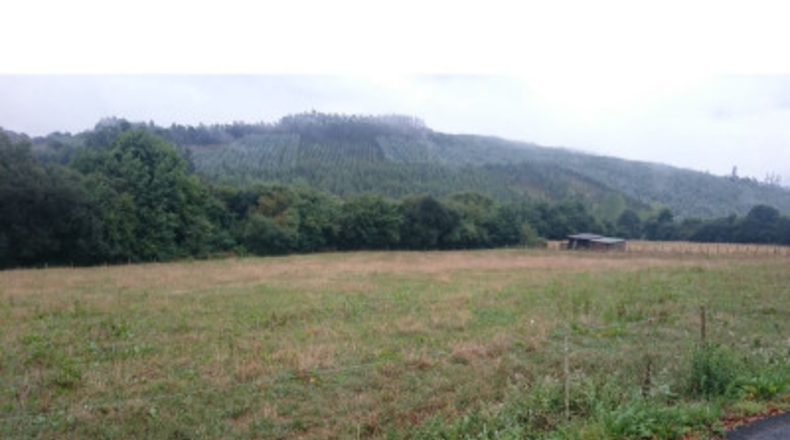 La Corunya - San Ramón - 25000m2