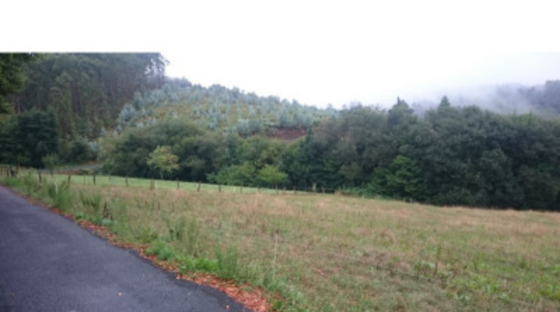 La Corunya - San Ramón - 25000m2