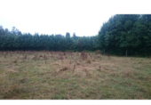 Finca rústica en venda a la España, Armenteiro de Abaixo, ref.: TR296731 foto