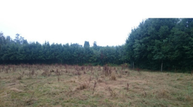 La Corunya - San Ramón - 25000m2