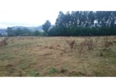 Finca rústica en venda a la España, Armenteiro de Abaixo, ref.: TR296731 foto