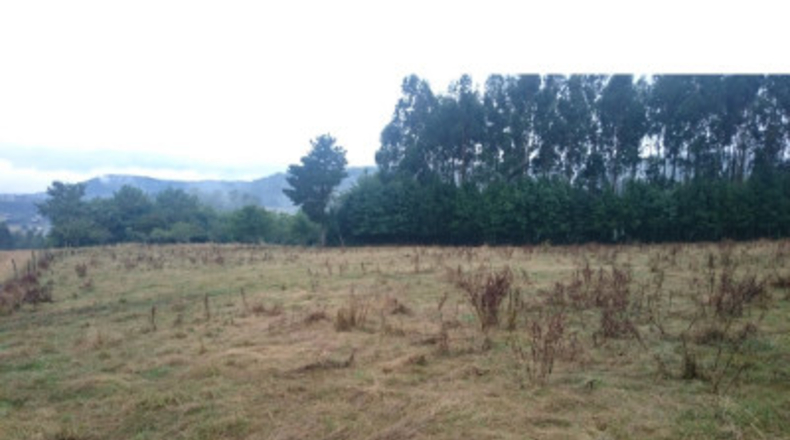 La Corunya - San Ramón - 25000m2
