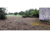 Casa de camp amb terreny en venda a la España, Vilar de Sarria, ref.: TR300017 foto