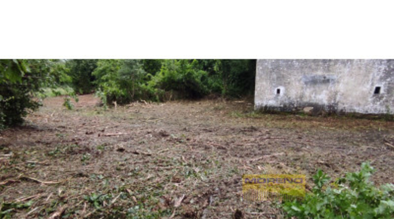 Lugo - Sarria - 2800m2