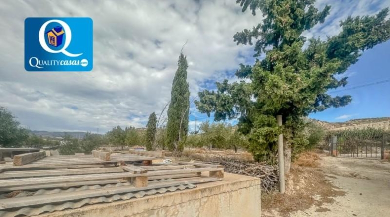 Alicante - Mutxamel - 5000m2