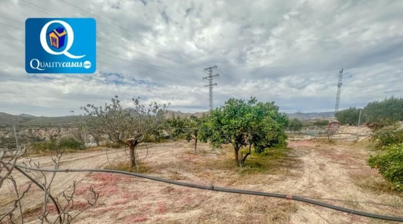 Alicante - Mutxamel - 5000m2