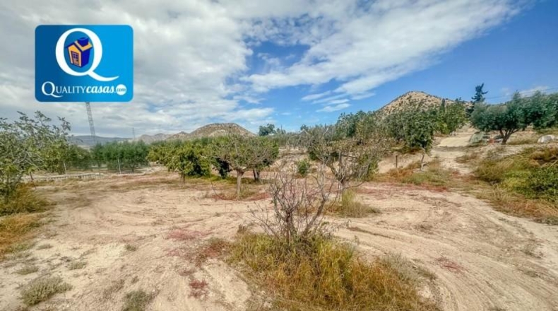 Alicante - Mutxamel - 5000m2