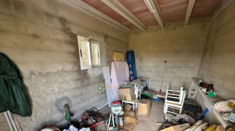 Valencia - la Font d'en Carròs - 7283m2
