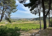 Terreny no urbanitzable en venda a la España, la Font d'en Carròs, ref.: TR311496 foto