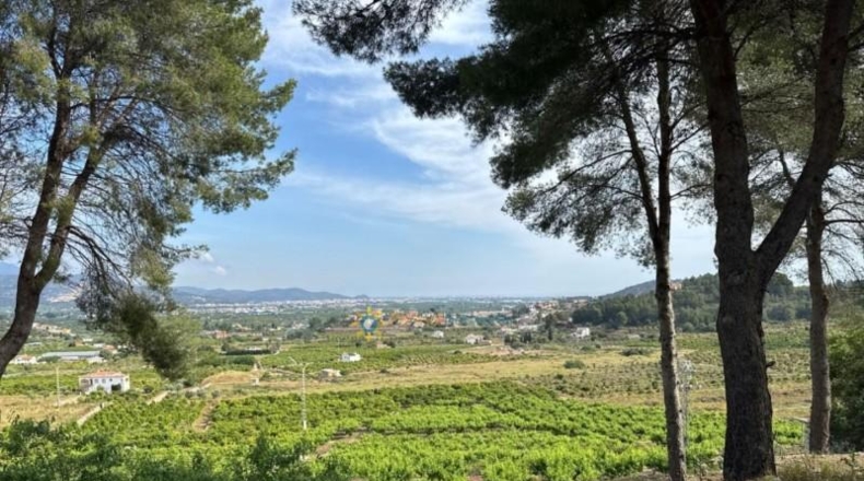 Valencia - la Font d'en Carròs - 7283m2