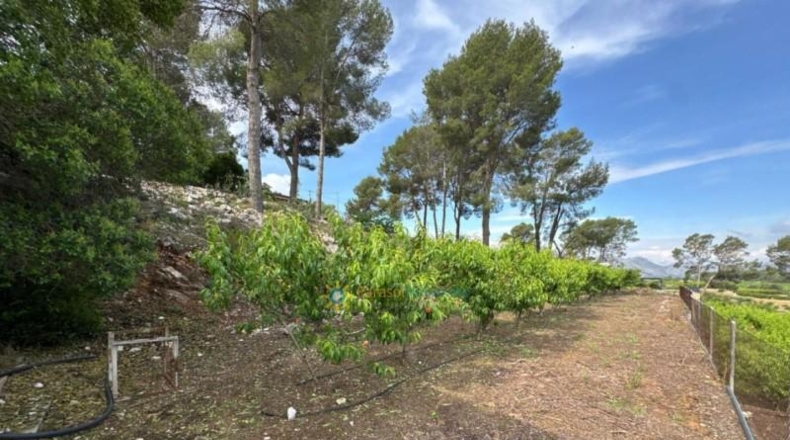 Valencia - la Font d'en Carròs - 7283m2