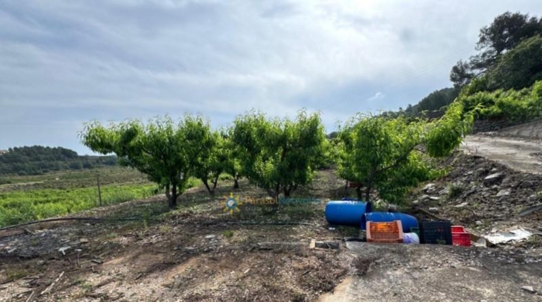 Valencia - la Font d'en Carròs - 7283m2