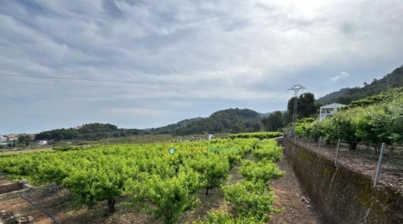 Valencia - la Font d'en Carròs - 7283m2