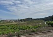 Terreny no urbanitzable en venda a la España, la Font d'en Carròs, ref.: TR311496 foto