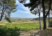 Terreny no urbanitzable en venda a la España, la Font d'en Carròs, ref.: TR311496 foto