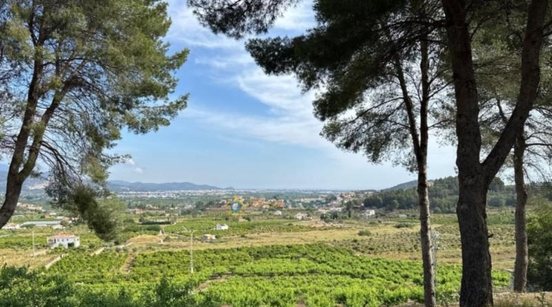Valencia - la Font d'en Carròs - 7283m2