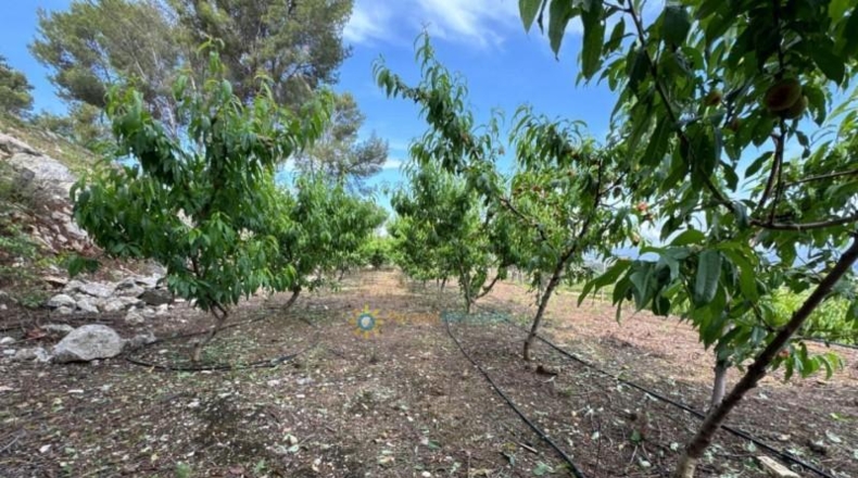 Valencia - la Font d'en Carròs - 7283m2