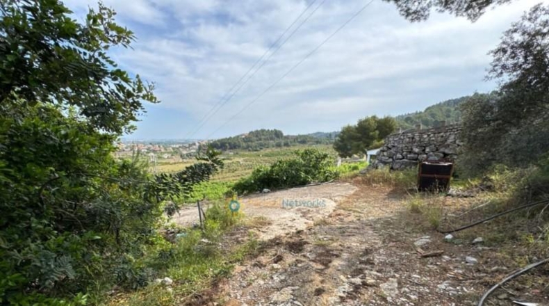 Valencia - la Font d'en Carròs - 7283m2
