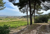 Terreny no urbanitzable en venda a la España, la Font d'en Carròs, ref.: TR311496 foto