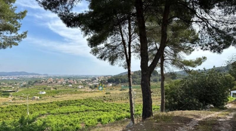 Valencia - la Font d'en Carròs - 7283m2