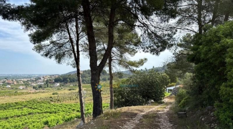 Valencia - la Font d'en Carròs - 7283m2