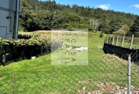 Santiago de Compostela 288&nbsp;m²