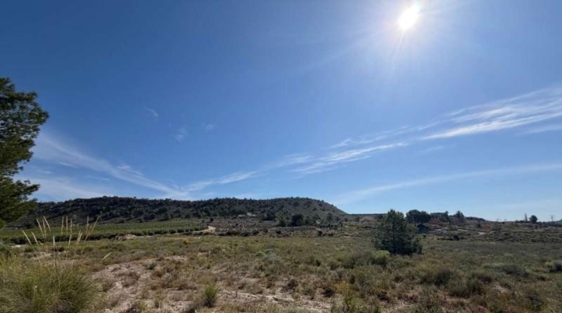 Alicante - Orihuela - 11m2
